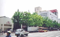 姫路ひろめ市場はヤマトヤシキの北側（旧ダイエー跡地）にあります。